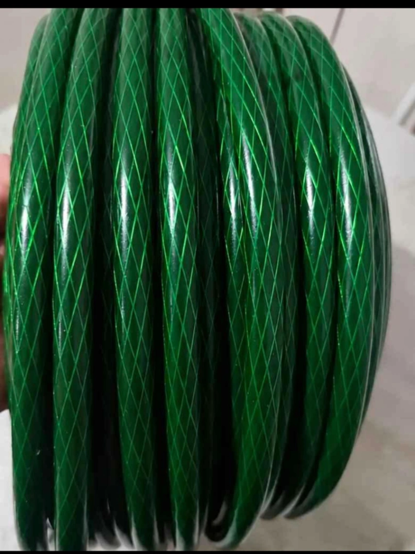 Mangueira 30M