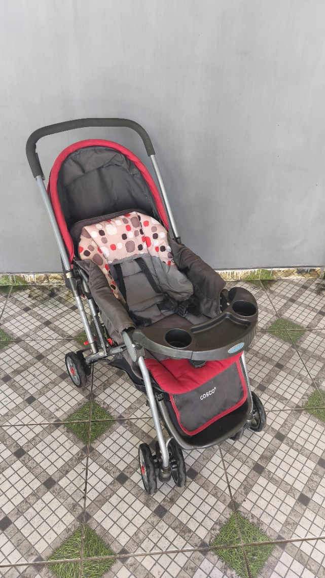 Carrinho de bebe e bebe conforto Cosco Reverse