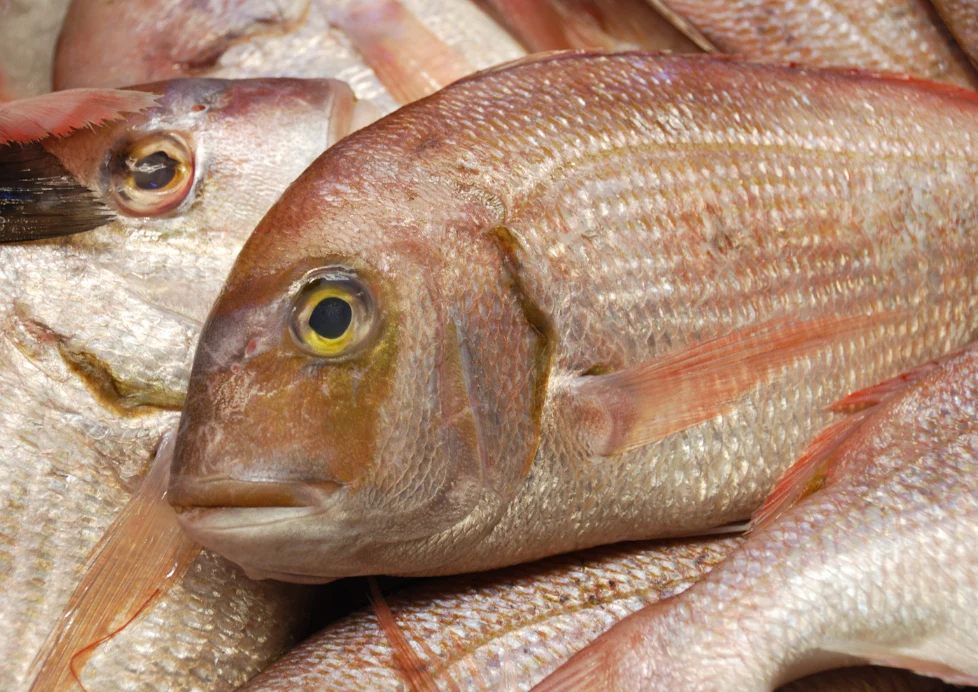 Peixaria