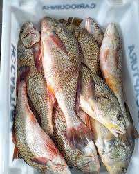 Peixaria