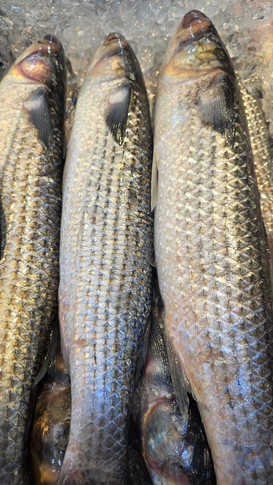 Peixaria