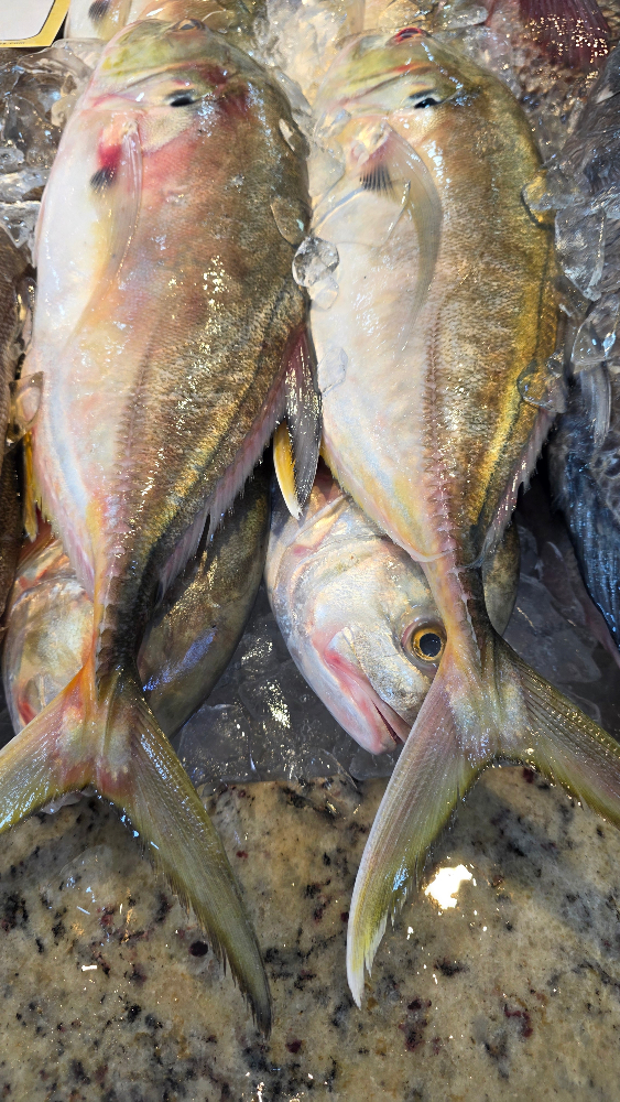 Peixaria